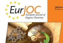 July 2013 - Article in Eur. J. Org. Chem. Published