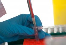 Contaminated samples point the finger at the wrong suspects