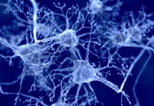 New technique negotiates neuron jungle to target source of Parkinson's disease