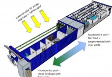 How hydroponics plus aquaculture adds up to more than the sum of its parts