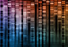 Research opens the door to more accurate genetic testing for inherited diseases