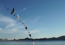 New drone dives like a bird and leaps like a flying fish