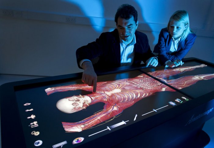 Anatomage virtual dissection tool