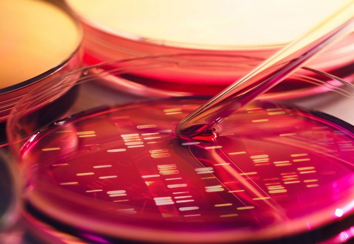 Petri dishes and liquid material. DNA data inside petri dish.