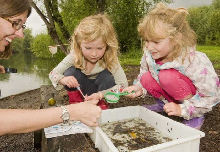 Girls looking at pond sample