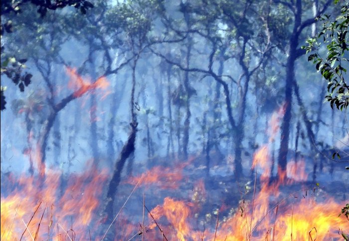 Fire was used by ancient Aboriginals to manage the Australian landscape