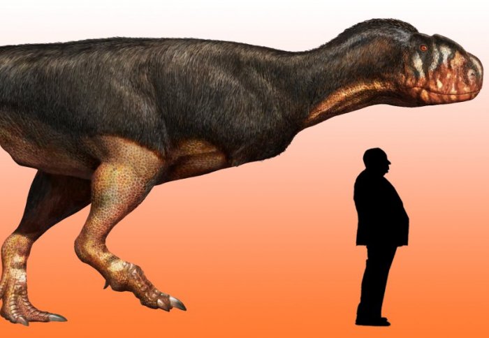 Artist impression of abelisaur