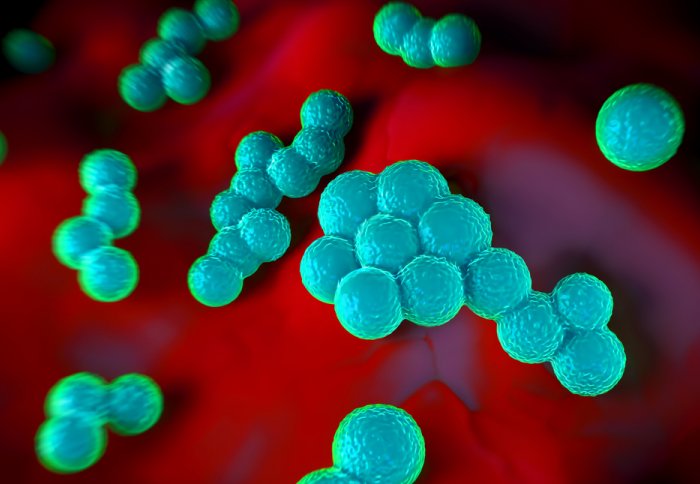 Superbug MRSA