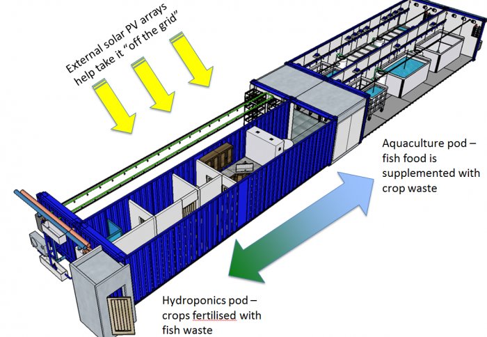 How hydroponics plus aquaculture adds up to more than the sum of its parts