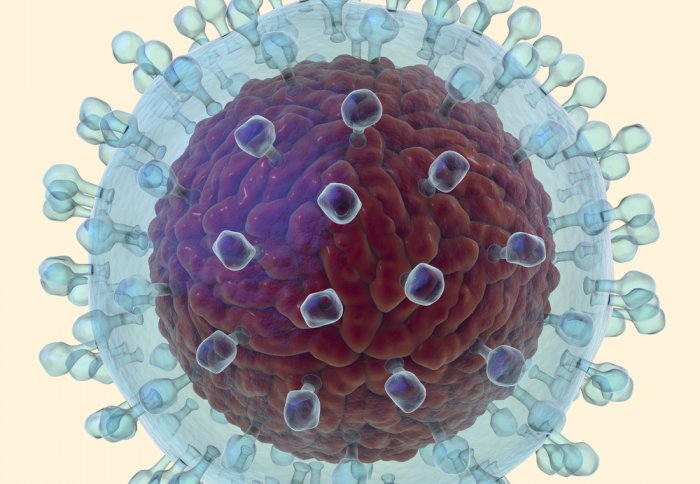 Hepatitis C virus