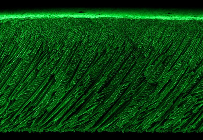 SEM image of the ultrafiltration membrane