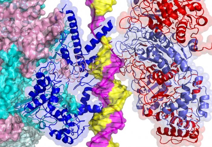 Colourful molecules interacting with twisted strands of yellow and pink