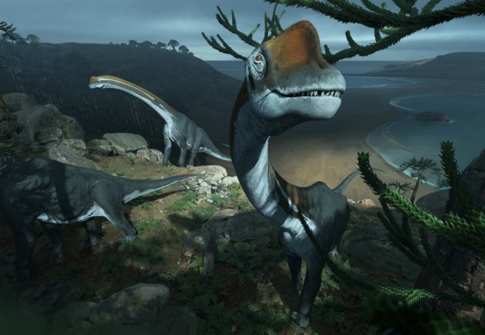 Vouivria damparisensis, the earliest known titanosauriform sauropod