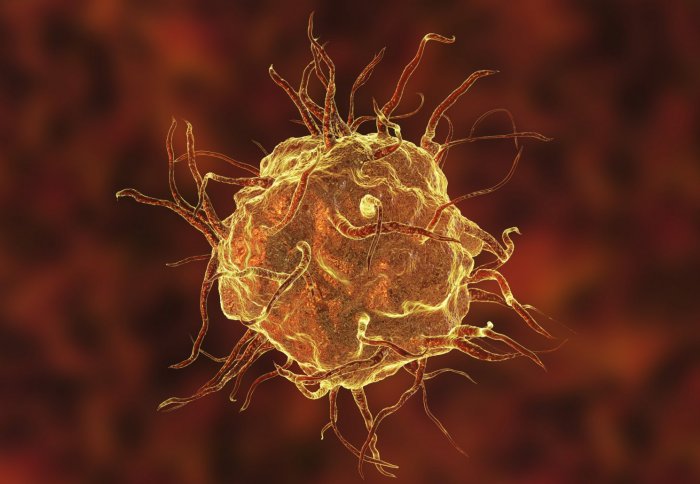 Close-up 3D illustration of a macrophage immune cell
