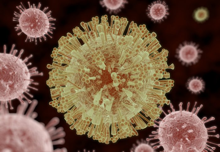 An artist's impression of the Zika virus