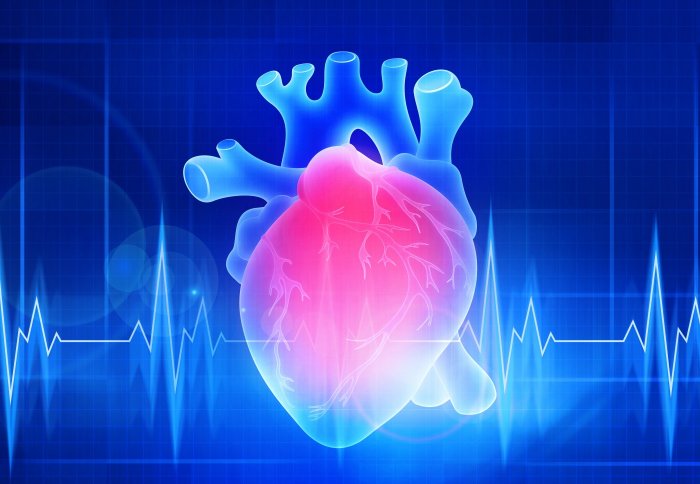 Heart composite image