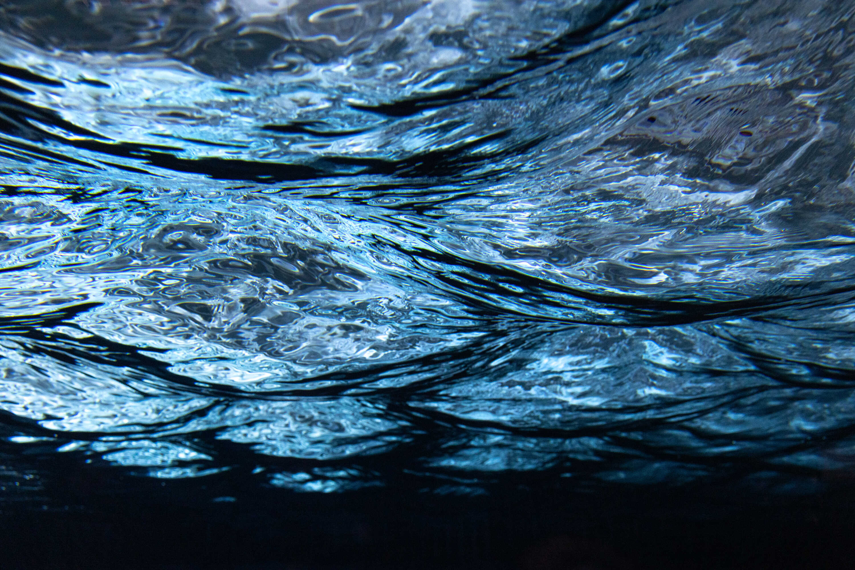 Underwater view inside a hydrodynamic wave tank