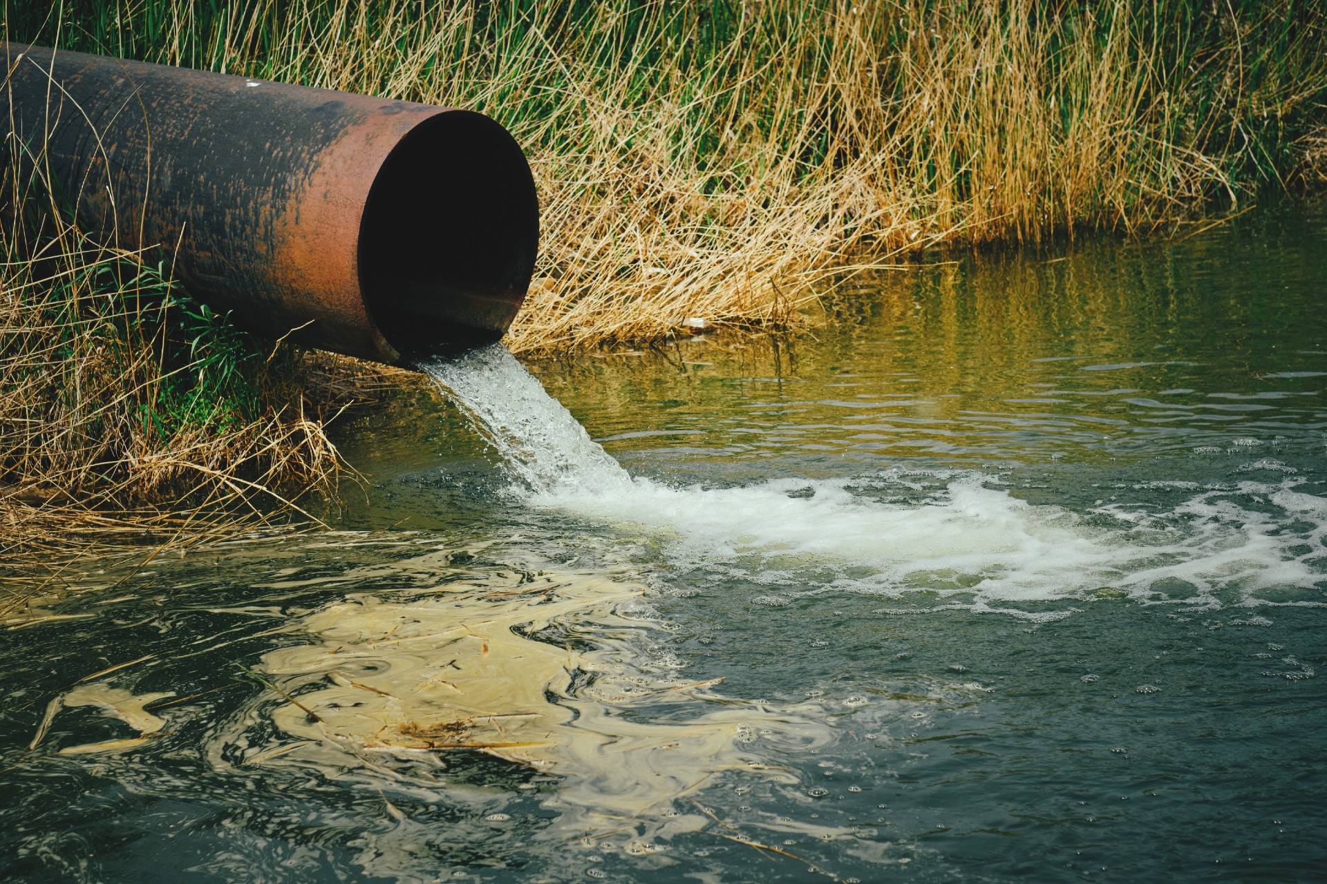 Draining sewage flowing from a pipe into a river.