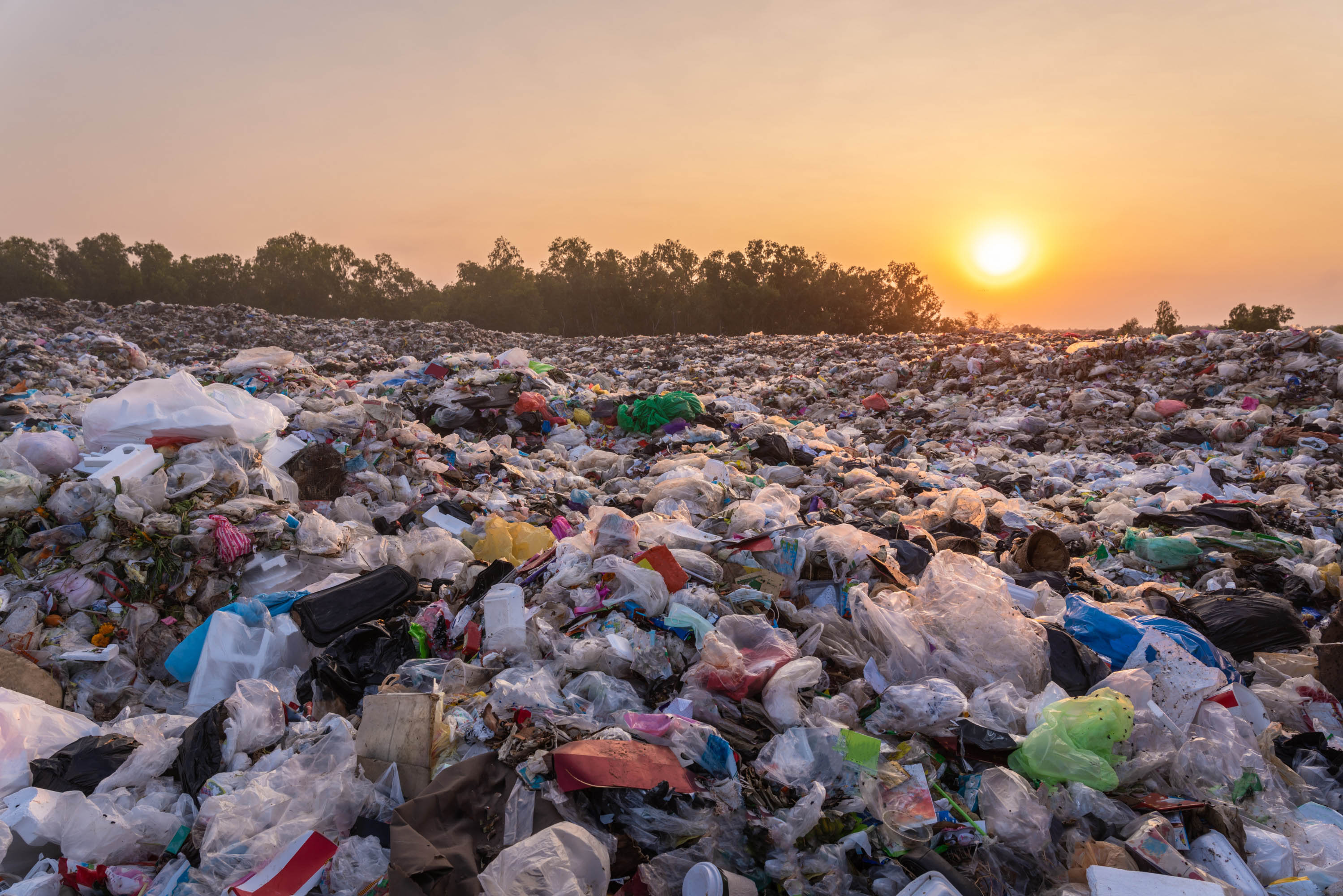 Global waste to hit nearly 4 billion tonnes a year by 2050, World Bank Group report warns