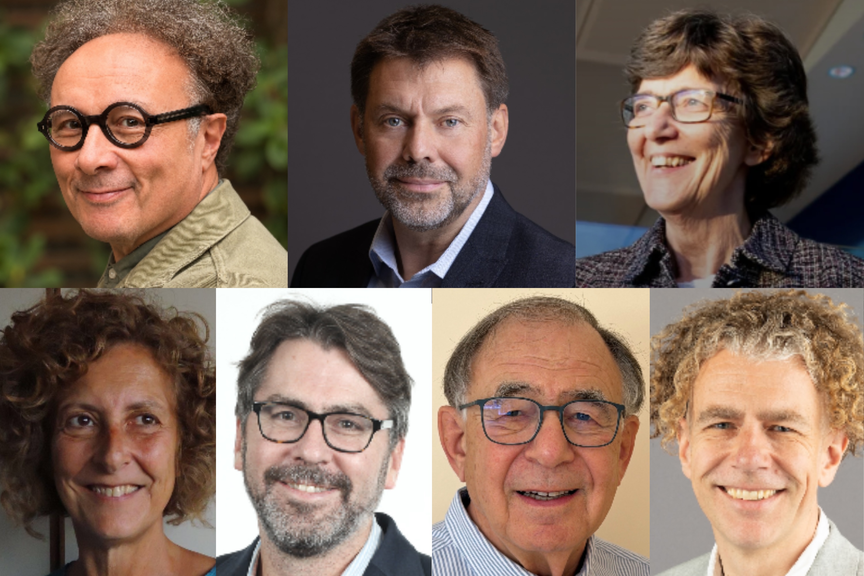 2026 AMS Fellows