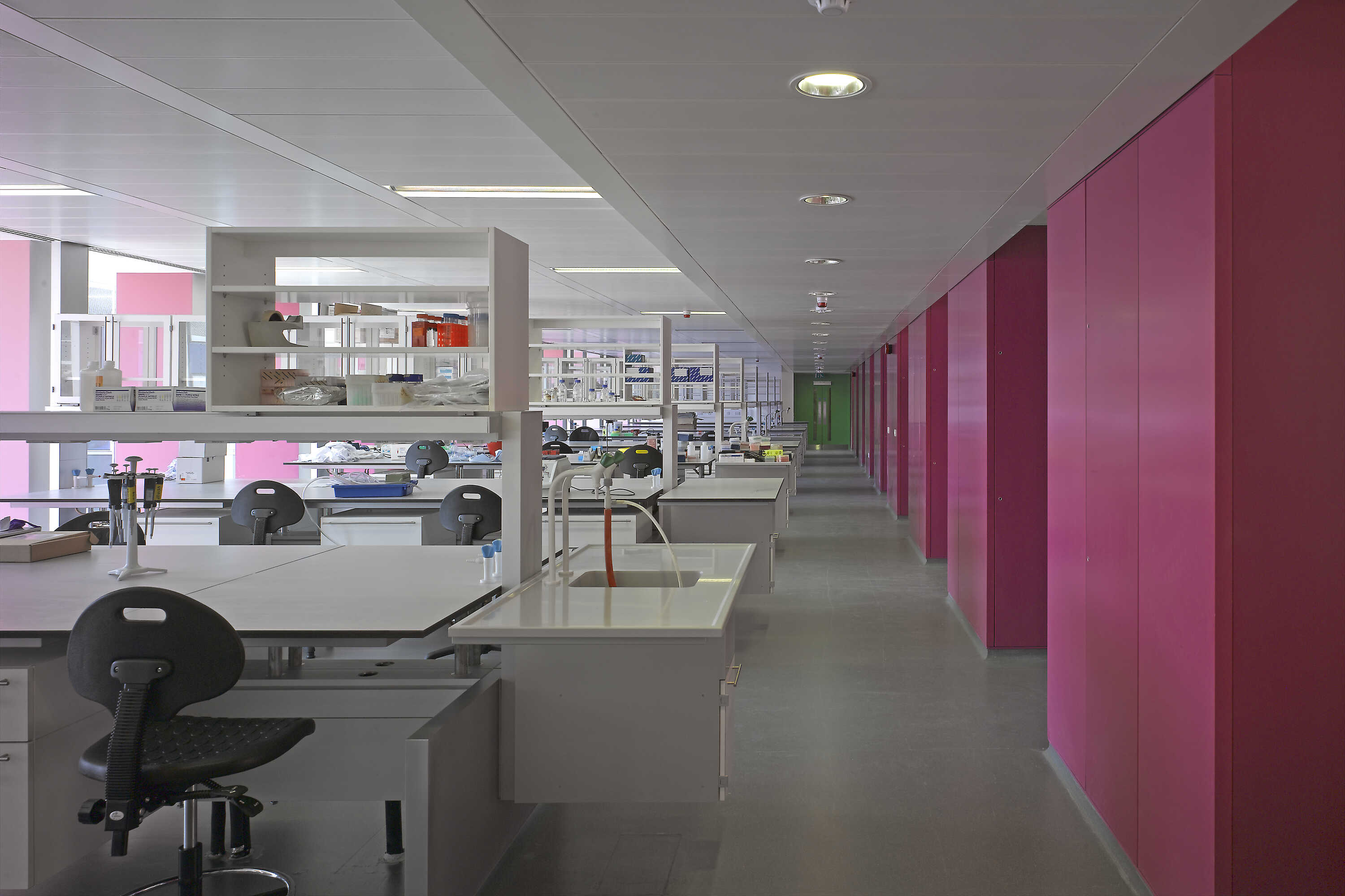 An open-plan Bioengineering laboratory with white benches, shelving and lab equipment, with a bright pink wall running along one side.