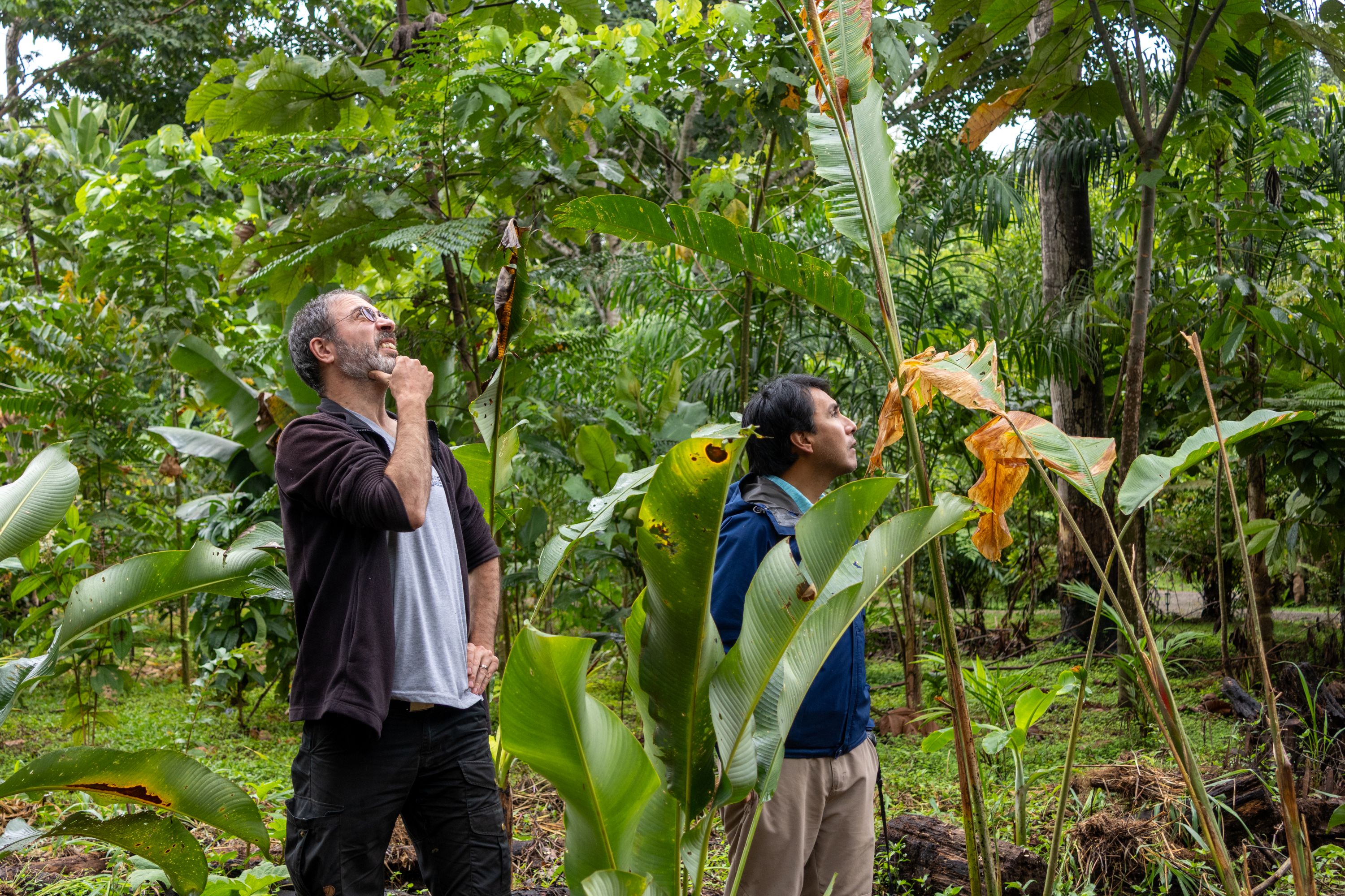 Wouter Buytaert and colleague surrounded by forest and undertaking field work in Peru
