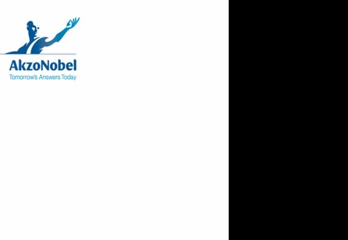 Akzonobel logo