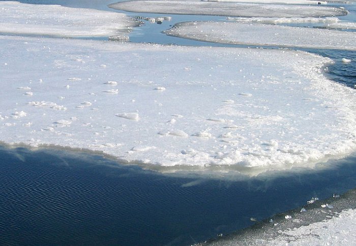 Melting sea ice
