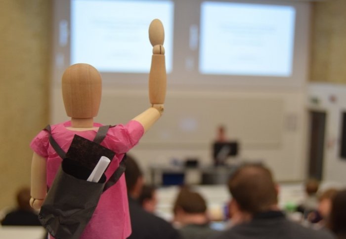 Summer School Mascot