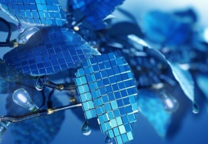 Concept of a PV-branch of PV-leaves      