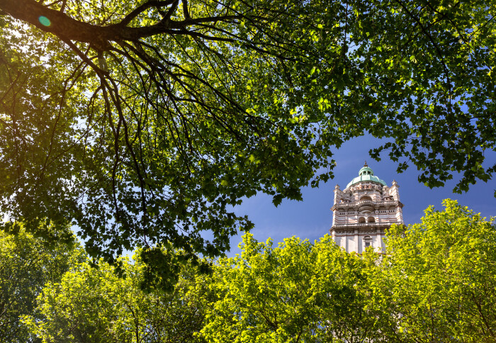Queen's tower seen through canopy of trees in the sunshine