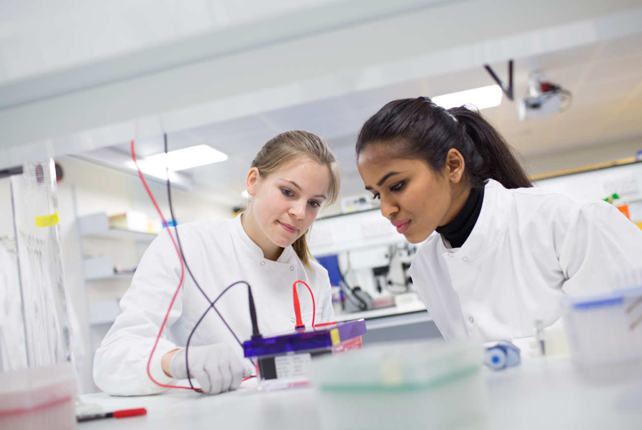 Students from the School of Public Health