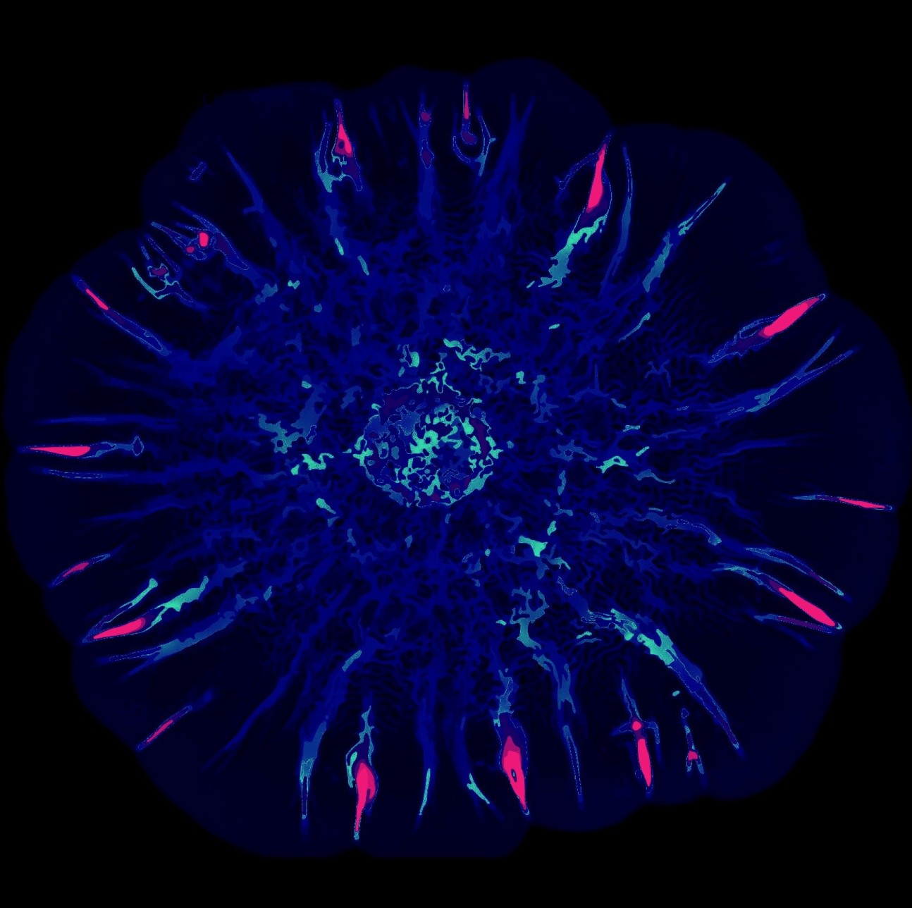 Abstract blue lines on top of a black background