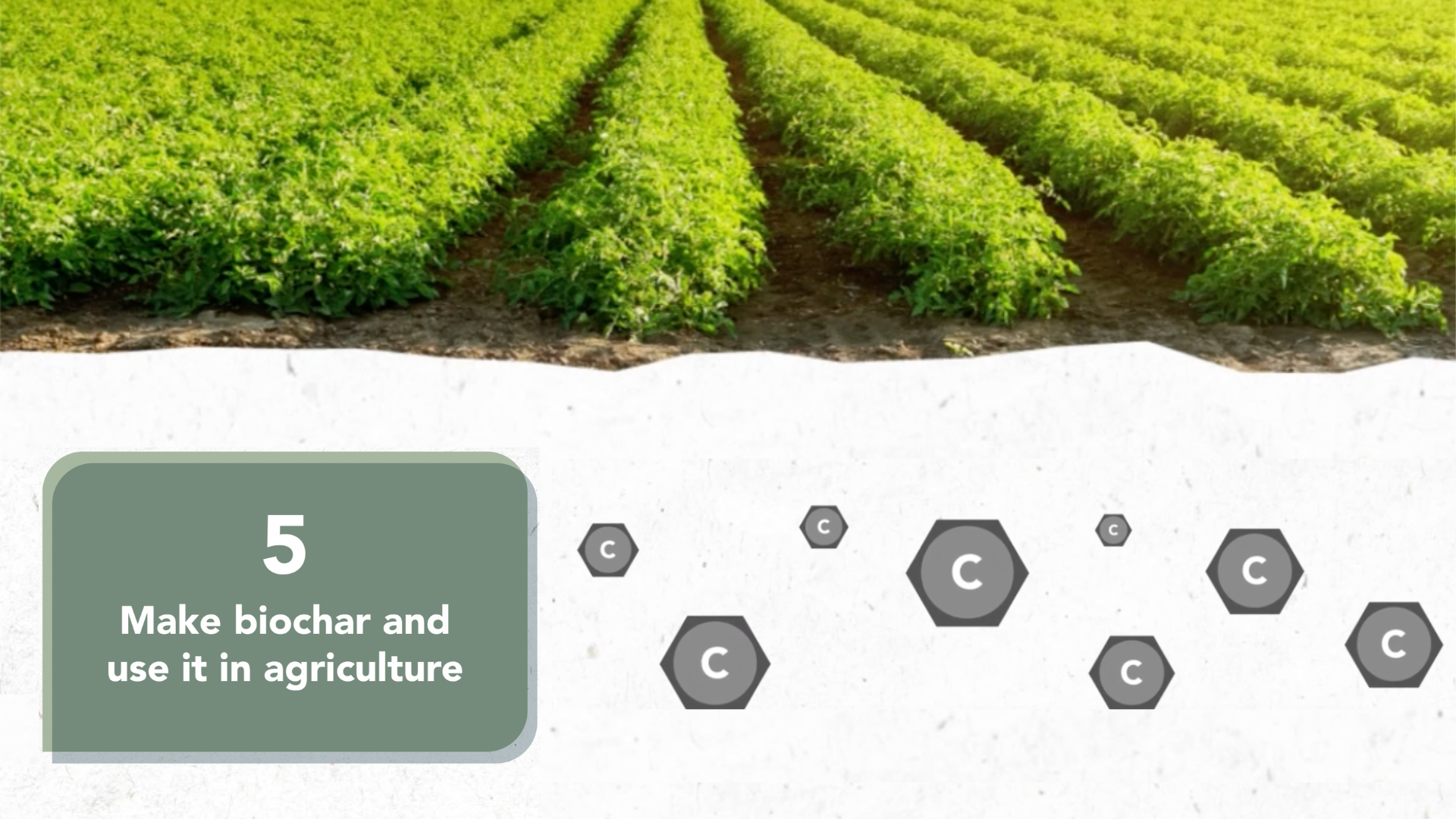 5. Make biochar and use it in agriculture