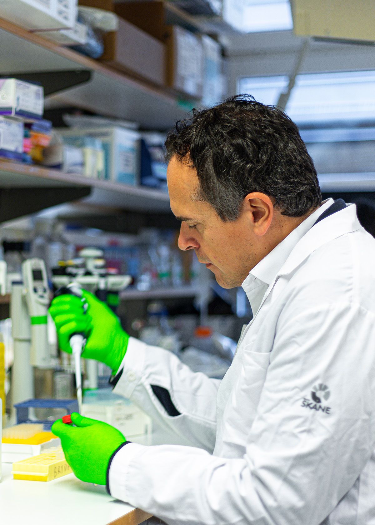 Professor Filipe Pereira