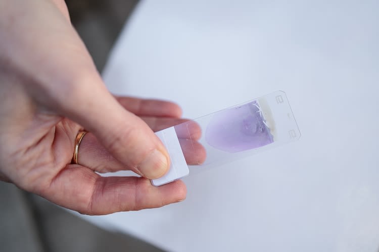 A hand holds a scientific sample, a clear tab showing purple liquid