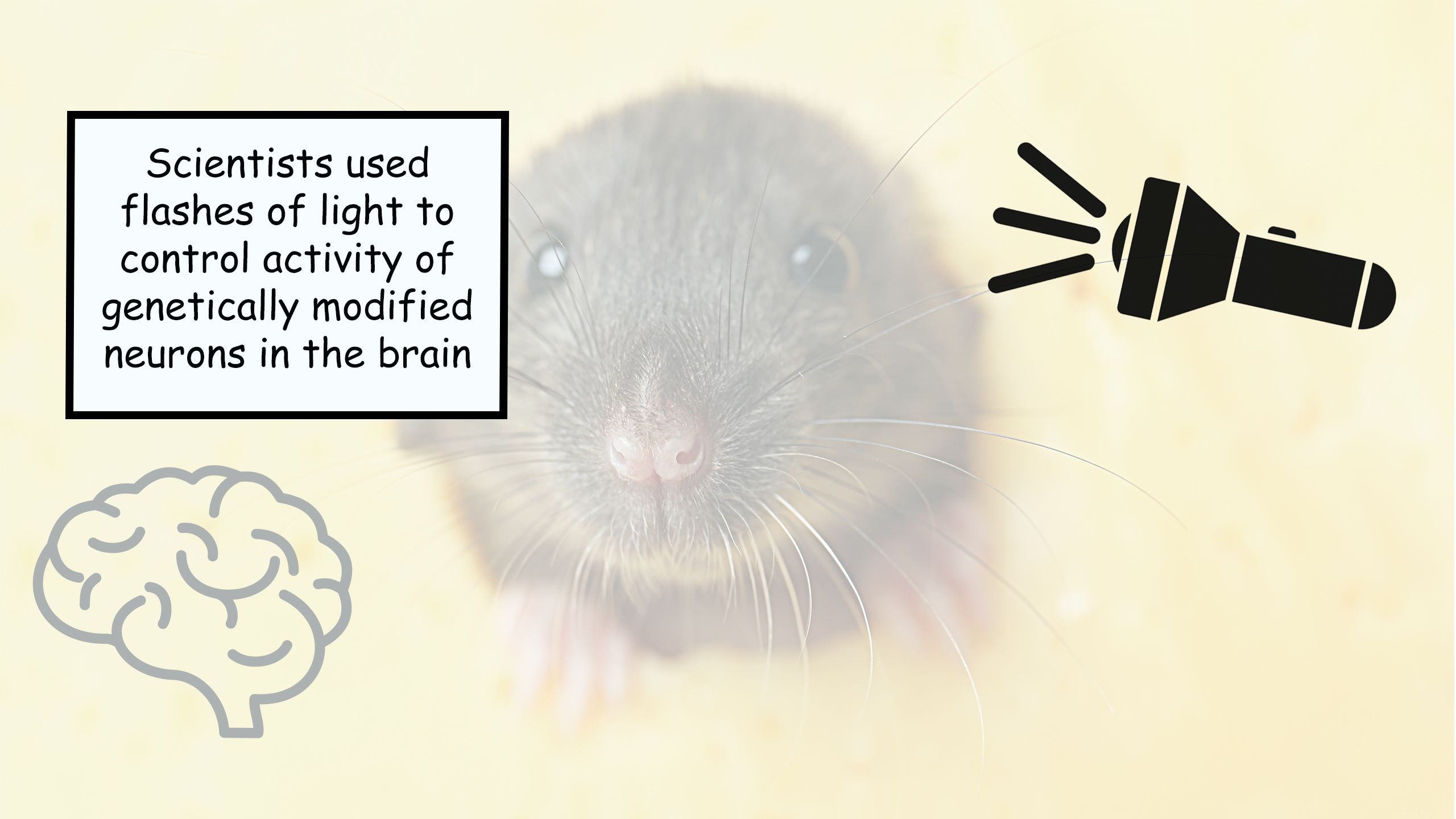 A caption saying: 'Scientists used flashes of light to control activity of genetically modified neurons in the brain'