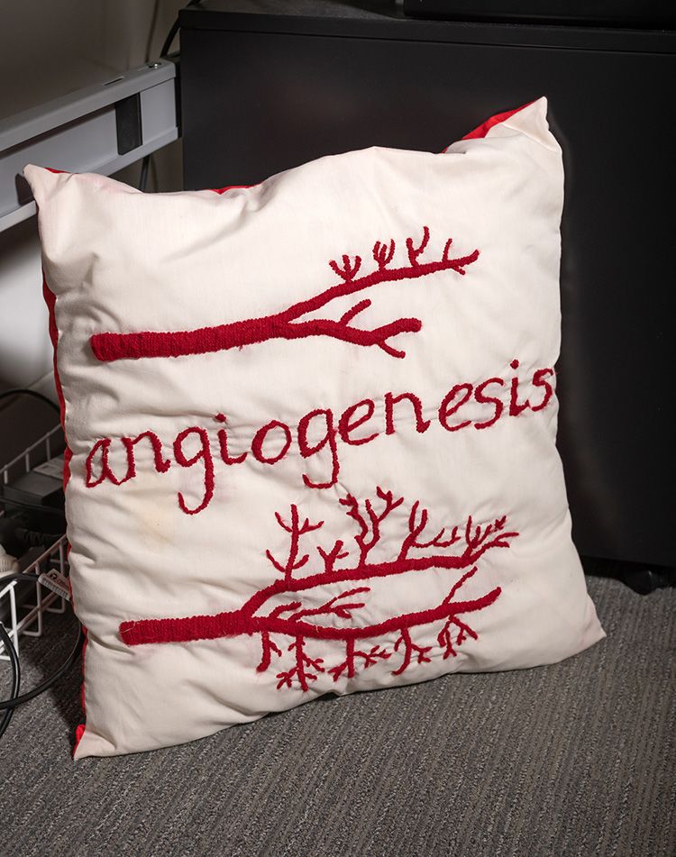 Cushion that is embroidered with blood vessels