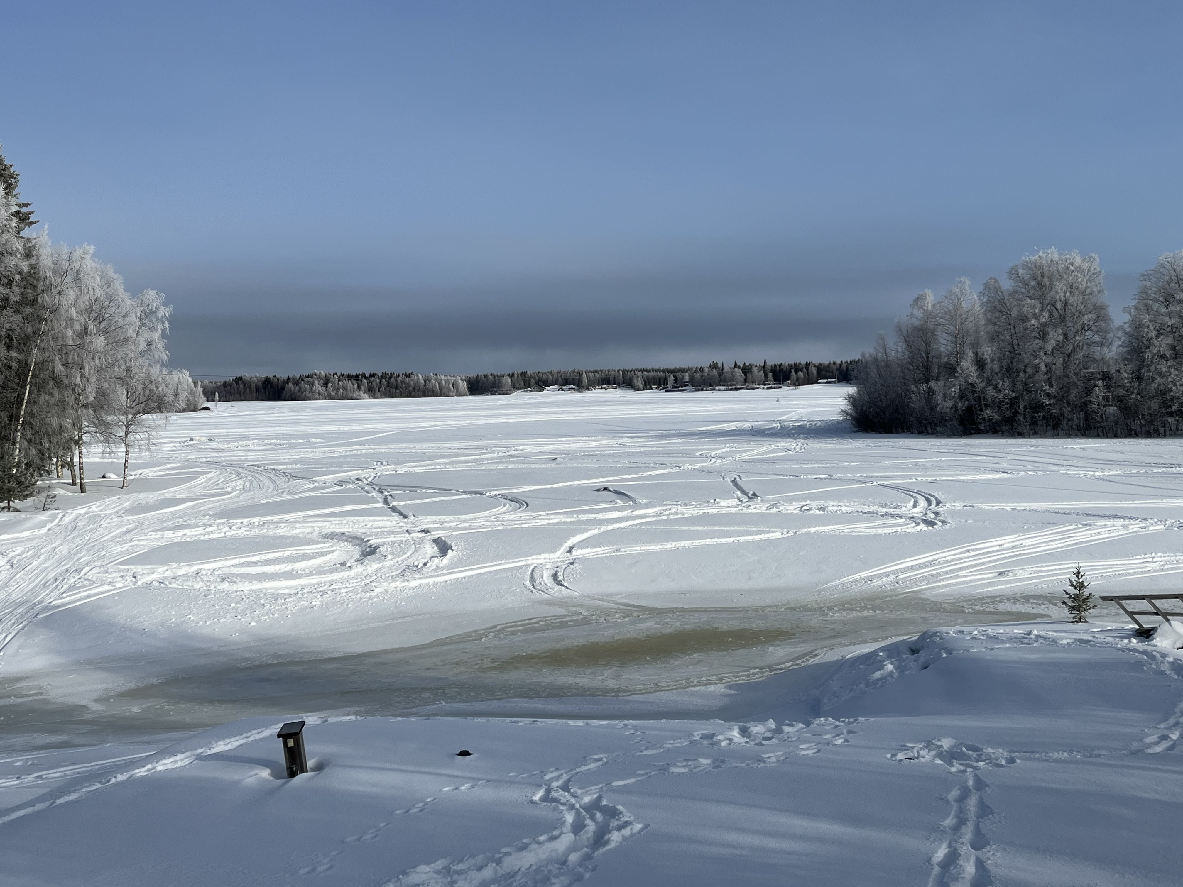 Snow covered field