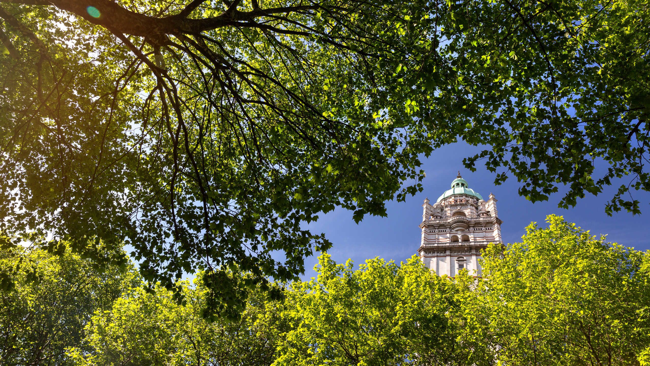 Queens Tower and trees
