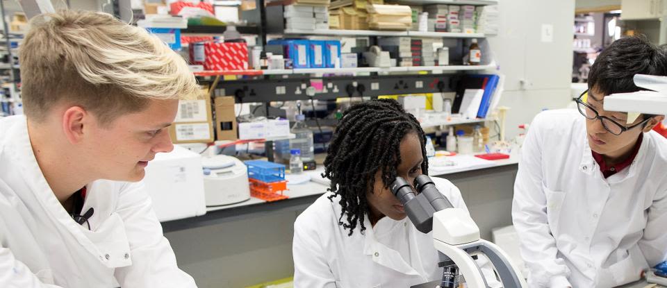 Simone looks down microscope in lab
