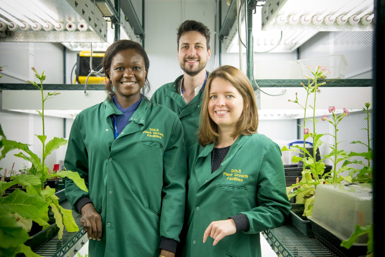 Students smiling next to plants in a lab.