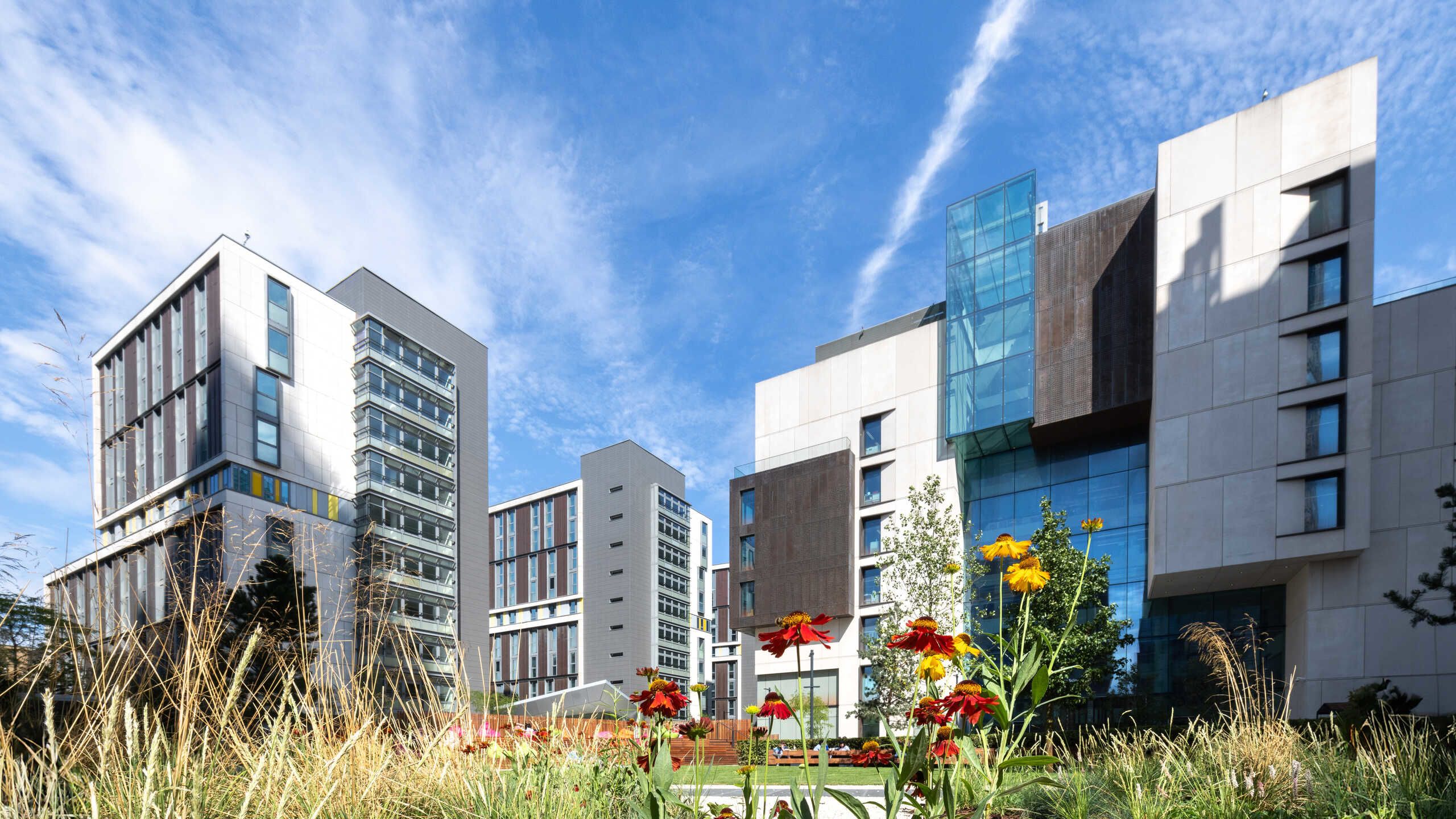 Buildings on the White City Campus in the sunshine