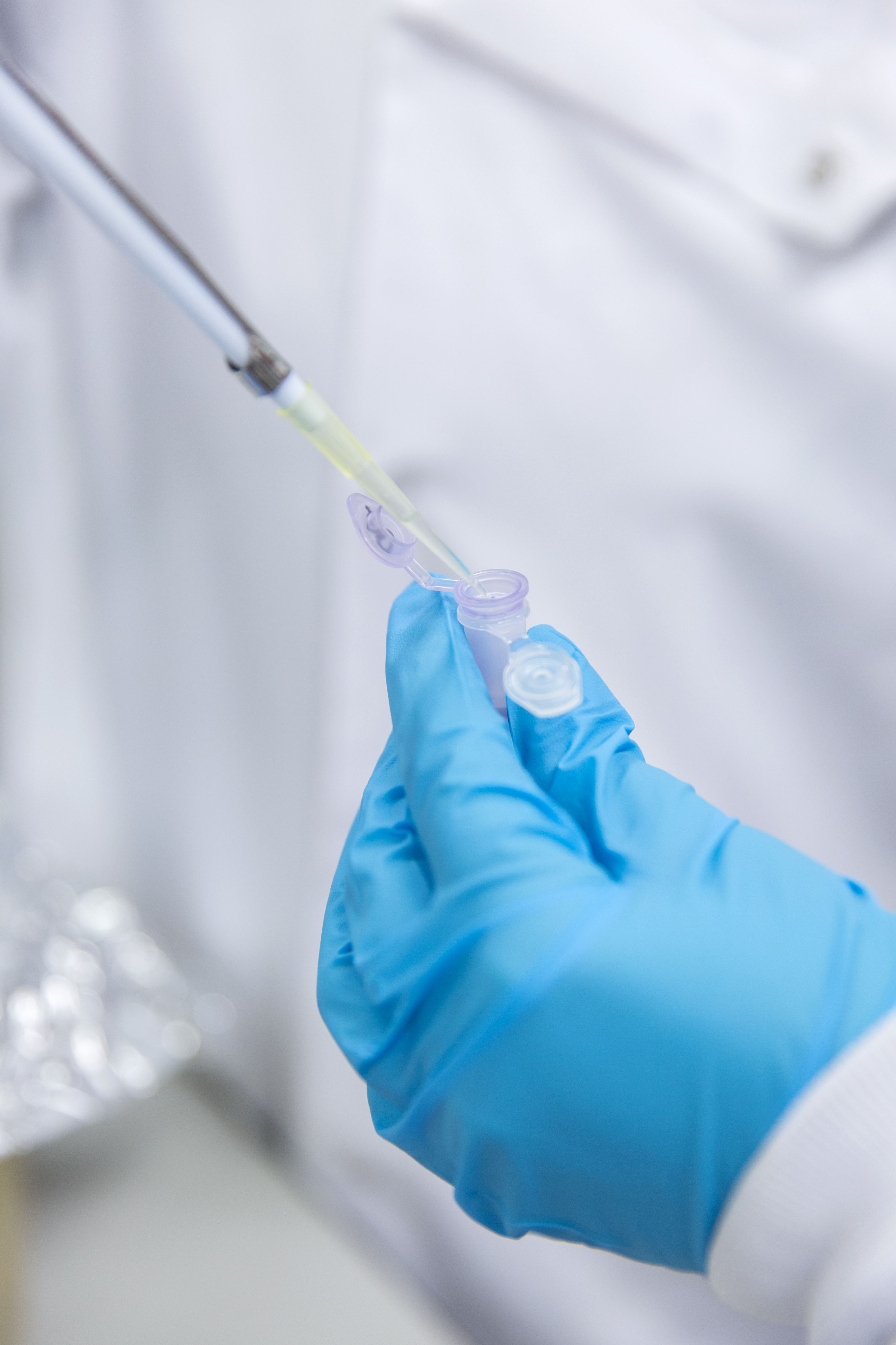 Student in a lab at Silwood Campus