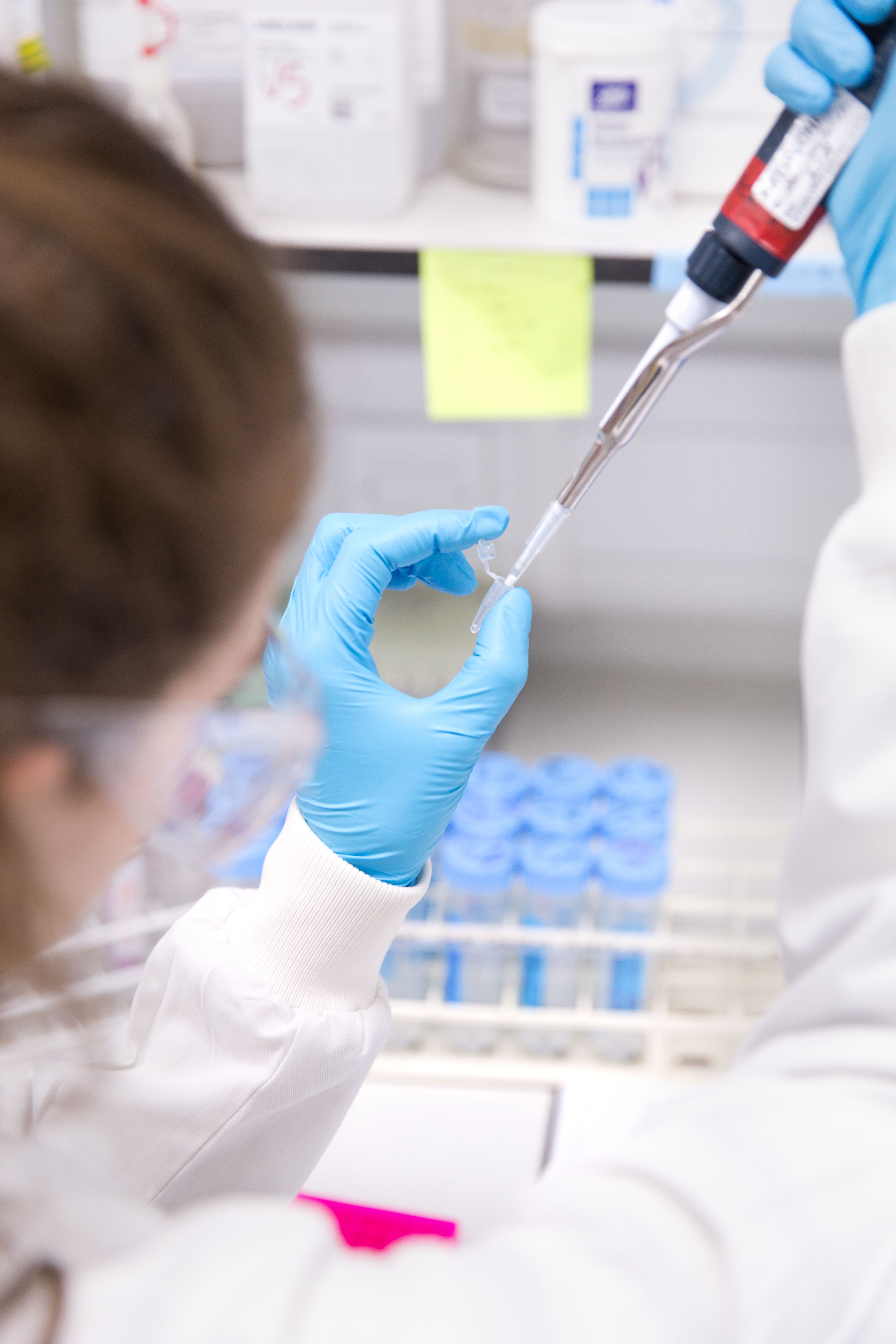 Student in a lab at Silwood Campus