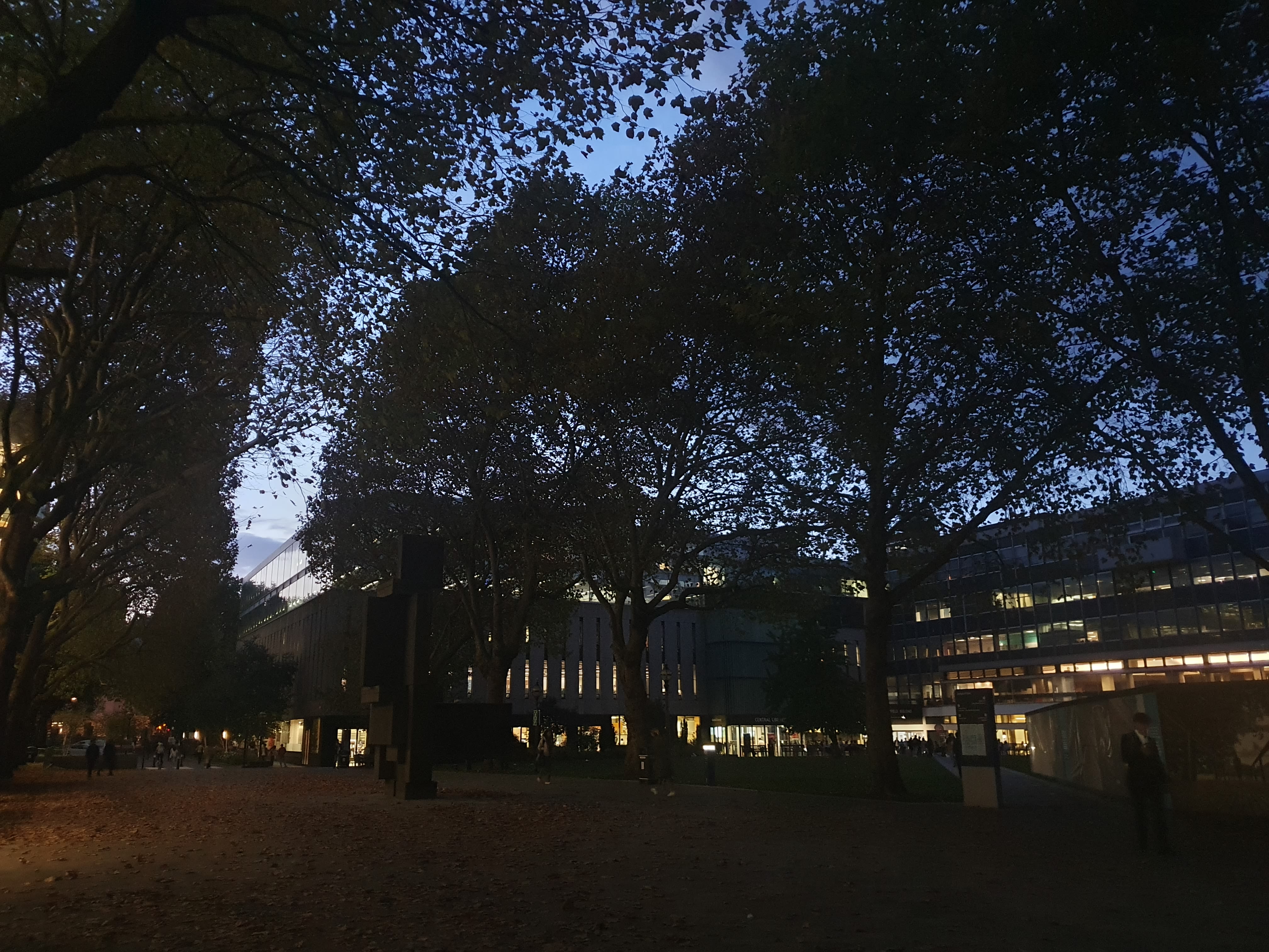 Image of South Kensington campus lit up at night
