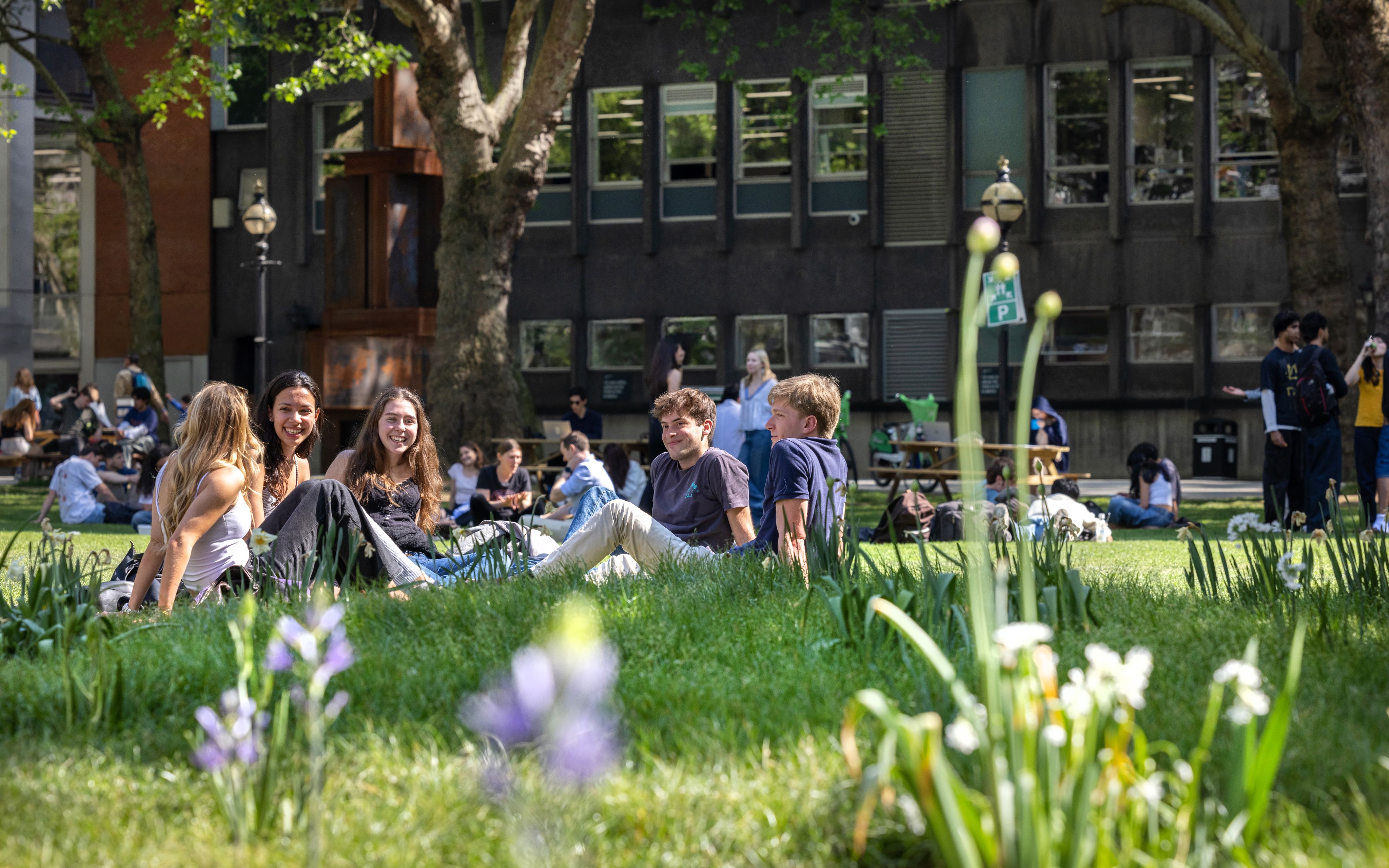 Group of students sitting on the grass in Dangoor Plaza on South Kensington Campus