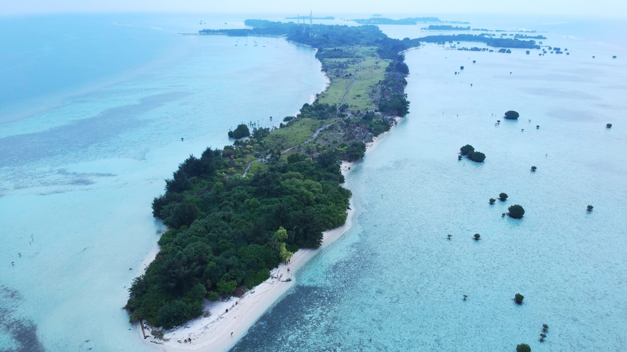 Aerial view of Pari Island, a small green strip of land surrounded by ocean