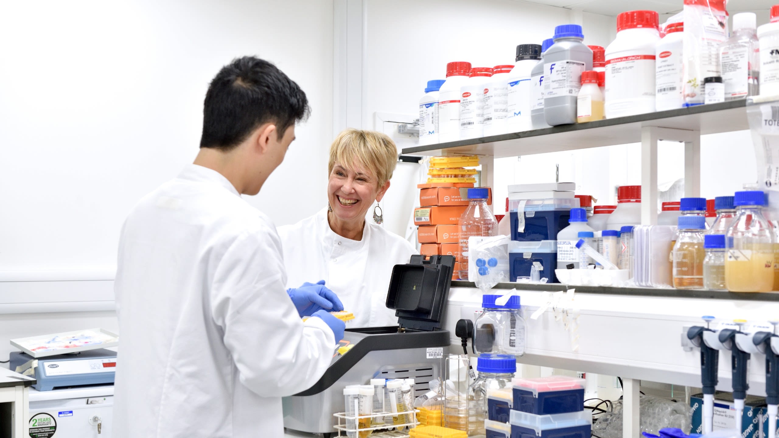 Professor Jane Davies speaks to a colleague in her lab