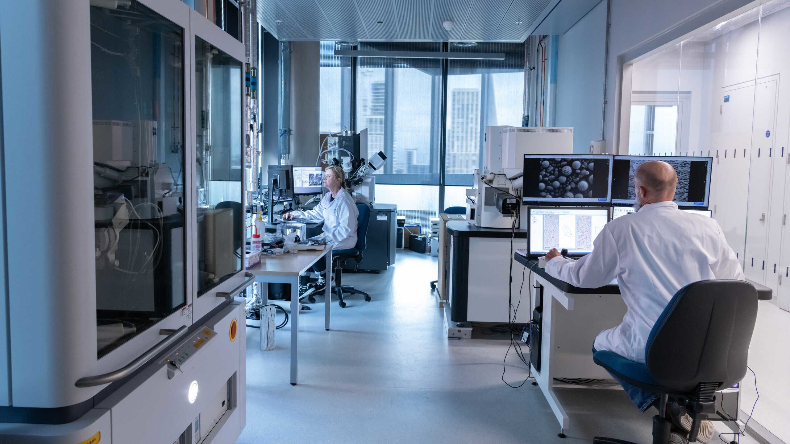 A researcher looks at structure on a microscope screen